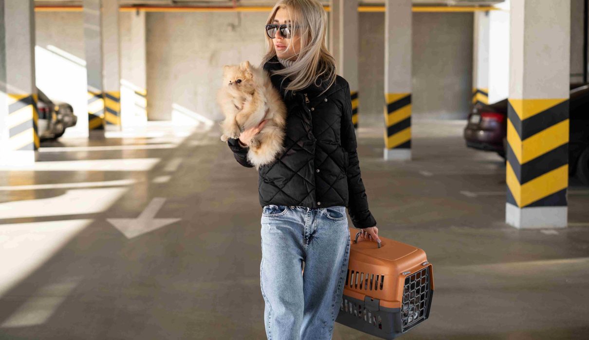 Dog Relocation Dubai Checklist: Avoid Rejection at Airport & Customs