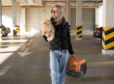 Dog Relocation Dubai Checklist: Avoid Rejection at Airport & Customs