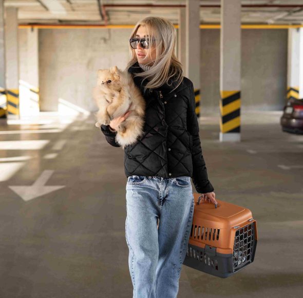 Dog Relocation Dubai Checklist: Avoid Rejection at Airport & Customs
