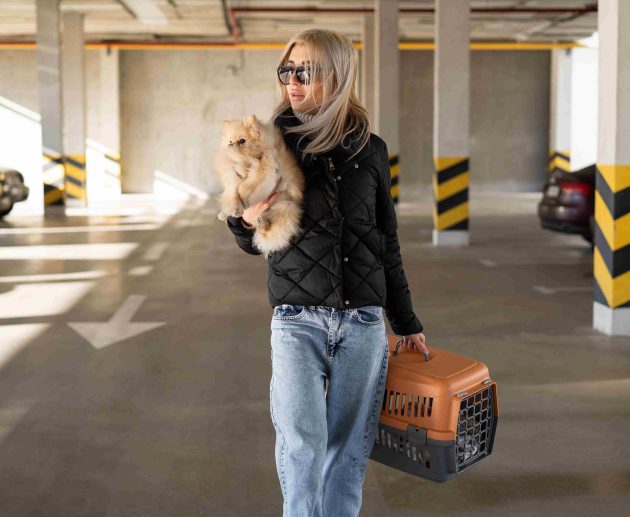 Dog Relocation Dubai Checklist: Avoid Rejection at Airport & Customs