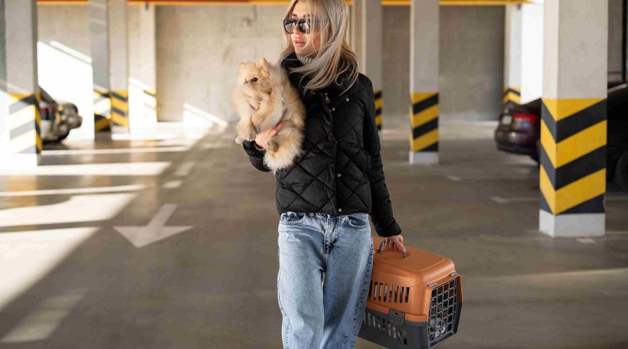 Dog Relocation Dubai Checklist: Avoid Rejection at Airport & Customs